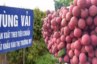 Nông sản Việt Nam đáp ứng các tiêu chuẩn chất lượng của nước nhập khẩu
