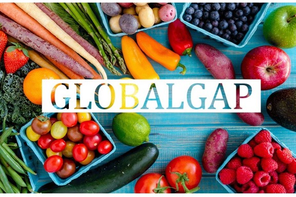 GlobalGAP giúp nông sản Việt đáp ứng tiêu chuẩn của EU