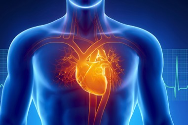 Nghiên cứu cho thấy COVID-19 cũng gây ra chấn thương cơ tim (tổn thương tim)