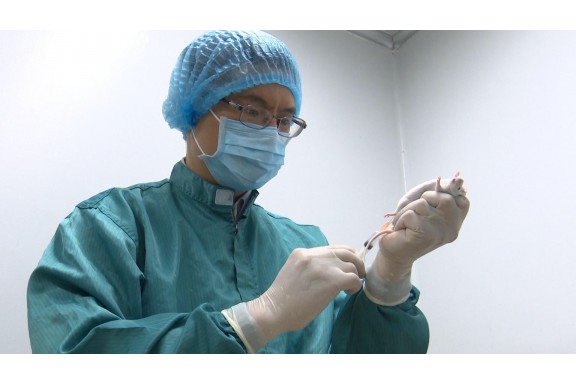 Thử nghiệm thành công văcxin Covid-19 giai đoạn 2