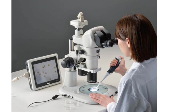 Đẩy nghiên cứu virus đến giới hạn: Những kiến thức từ kính hiển vi định vị đơn phân tử