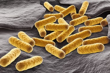 Chiến đấu với E.coli bằng E.coli