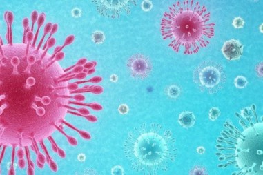 Virus lai phục vụ nghiên cứu an toàn và phát triển văcxin