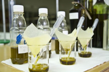 Đơn giản hóa cách phân tích dầu ô liu
