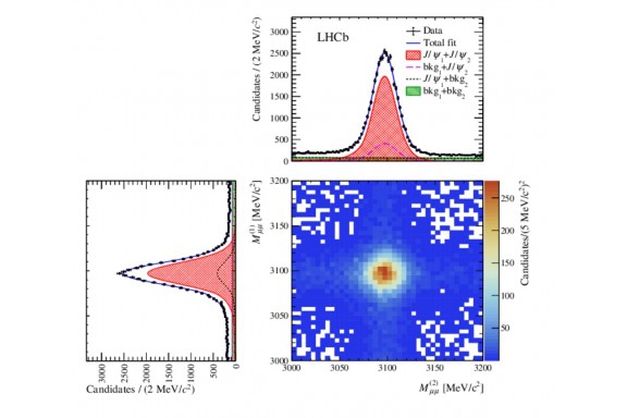 Bằng chứng tốt nhất cho sự tồn tại của các anyon
