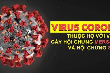 Cơ chế phát tán Virus Sars- CoV-2 trong cơ thể người