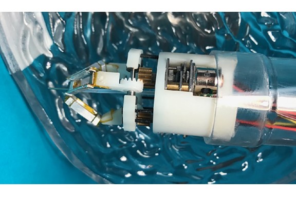 Dùng công nghệ in 3D sinh học điều trị tổn thương dạ dày