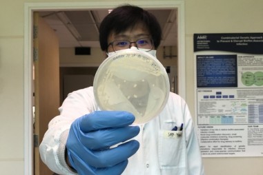 Kỹ thuật mới làm cho vi khuẩn nhạy cảm hơn với kháng sinh