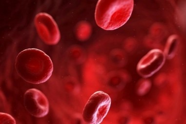 Biến thể nhóm máu hiếm giúp ngăn ngừa bệnh sốt rét