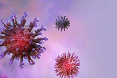 Coronavirus liên tục gây ngạc nhiên khi được phát hiện có khả năng chịu nhiệt, tự phục hồi và rất đàn hồi