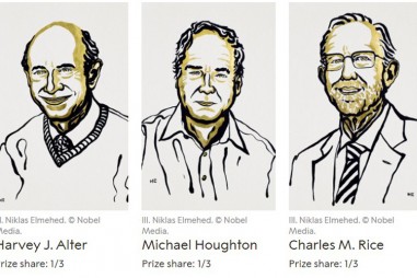Giải Nobel Y học 2020 thuộc về ba nhà khoa học phát hiện virus viêm gan C