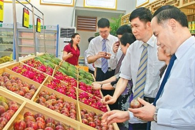 Đề xuất giải pháp tăng xuất khẩu nông sản Việt Nam sang một số nước Tây Âu