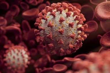 Biến chủng virus corona không ảnh hưởng đến nghiên cứu văcxin