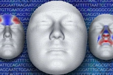 Cải thiện tình trạng sức khỏe nhờ nghiên cứu gene hình thành khuôn mặt