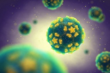 Các nhà khoa học làm sáng tỏ bí ẩn khiến virus lây nhiễm