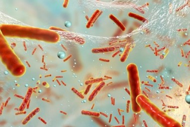 Các tinh thể nano loại bỏ màng sinh học vi khuẩn