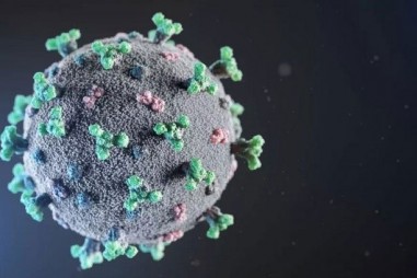 Virus SARS-CoV-2 đột biến để trốn hệ miễn dịch