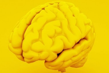 Các nhà khoa học phát triển một công cụ cải tiến để giúp hiểu biết cấu trúc bộ não