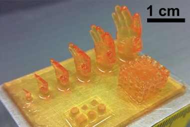 In 3D hydrogel, chìa khóa cho sản xuất các cơ quan nhân tạo