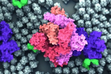 Các nhà nghiên cứu Protein Spike giải thích sự lây lan nhanh hơn của các biến thể COVID-19