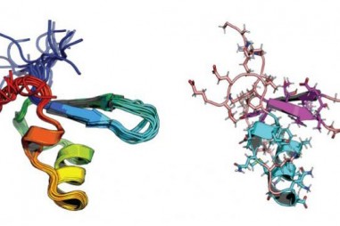 Kỹ thuật nguyên tử cho thấy sự tiến hóa của protein vi khuẩn