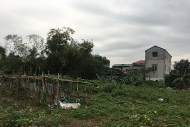 Thị xã Từ Sơn - (Bắc Ninh): Buông lỏng quản lý, nhiều công trình xây dựng không phép trên đất nông nghiệp