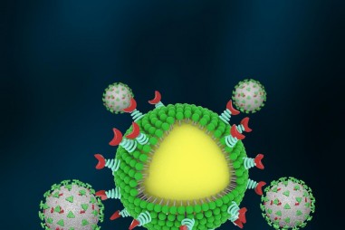 Thiết kế ống nano để bắt và loại bỏ coronavirus