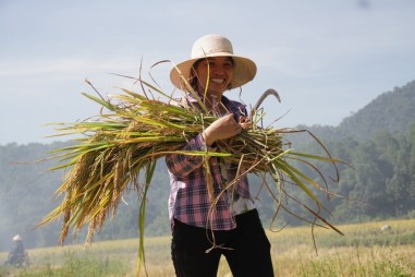 Liên hiệp Hội Việt Nam phê duyệt dự án Làng sinh thái nông nghiệp bền vững