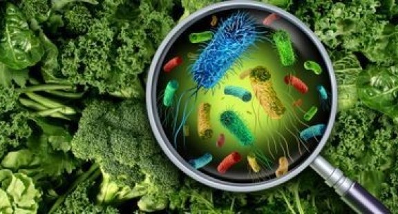 Các nhà khoa học thực phẩm tạo lập sơ đồ quốc gia  về vi khuẩn Listeria gây chết người