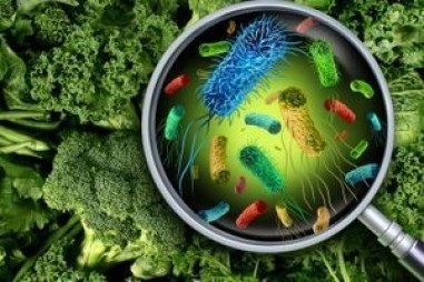 Các nhà khoa học thực phẩm tạo lập sơ đồ quốc gia  về vi khuẩn Listeria gây chết người