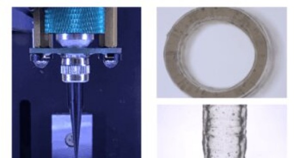 Chế tạo mạch máu sinh học bằng kỹ thuật in 3D