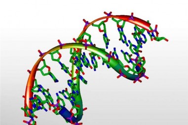 Kỹ thuật mới rọi ánh sáng vào chuỗi xoắn DNA
