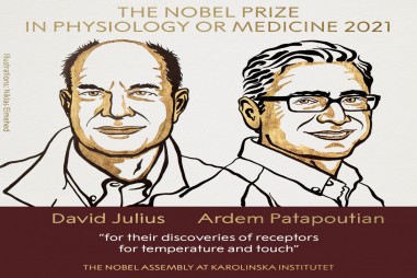 Giải Nobel Y học năm 2021 vinh danh hai nhà khoa học người Mỹ