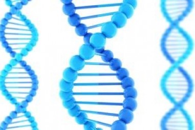 ADN rác có vai trò quan trọng trong sự phát triển của động vật có vú