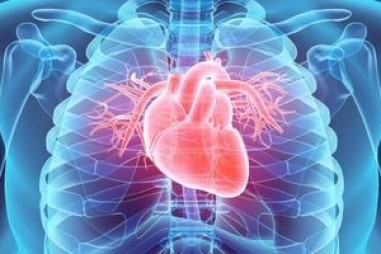Mô hình máy tính của enzym trong máu có thể phát triển các loại thuốc mới cho bệnh tim mạch