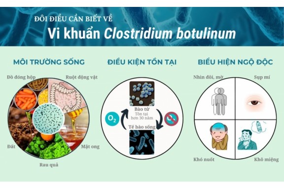 Khuyến cáo của chuyên gia về ngộ độc botulinum và cách phòng tránh