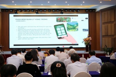 Quản lý mã số vùng trồng và cơ sở đóng gói là tiền đề để trái cây Việt Nam tiếp cận thị trường các nước