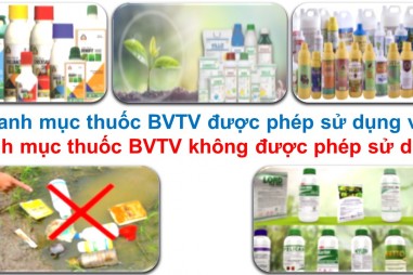 Ban hành Danh mục thuốc BVTV được phép và cấm sử dụng tại Việt Nam
