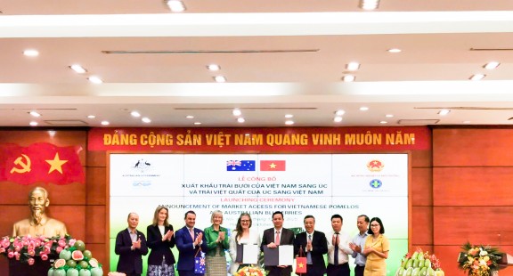 Bưởi – Trái cây thứ 6 của Việt Nam được mở cửa thành công sang thị trường Úc