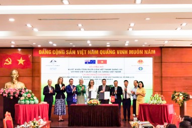 Bưởi – Trái cây thứ 6 của Việt Nam được mở cửa thành công sang thị trường Úc