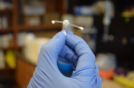 Công cụ cấy ghép chống HIV cho phụ nữ, phát triển tại Đại học Waterloo
